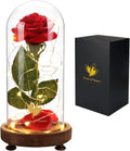 Preserved Rose Gifts for Mom,Birthday Gifts for Women,Beauty and the Beast Rose in Glass Dome,Silk Rose Forever Flowers with Lights,Valentines for Women Wife Daughter Girlfriend