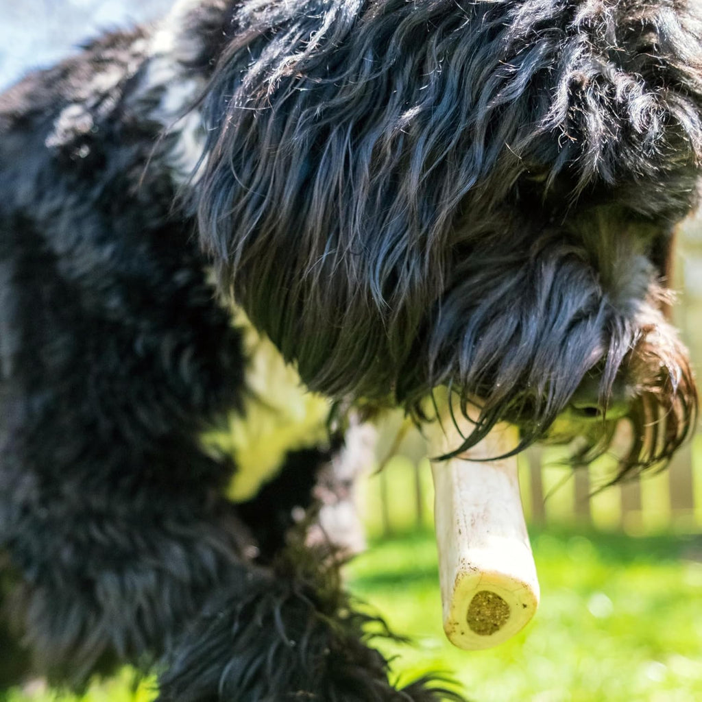 Stuffed Shin Bone, Long Lasting Dog Bones for Aggressive Chewers, High Protein Filled Dental Chew, Bully Stick Peanut Butter Filling, 5-6" for Large Dogs