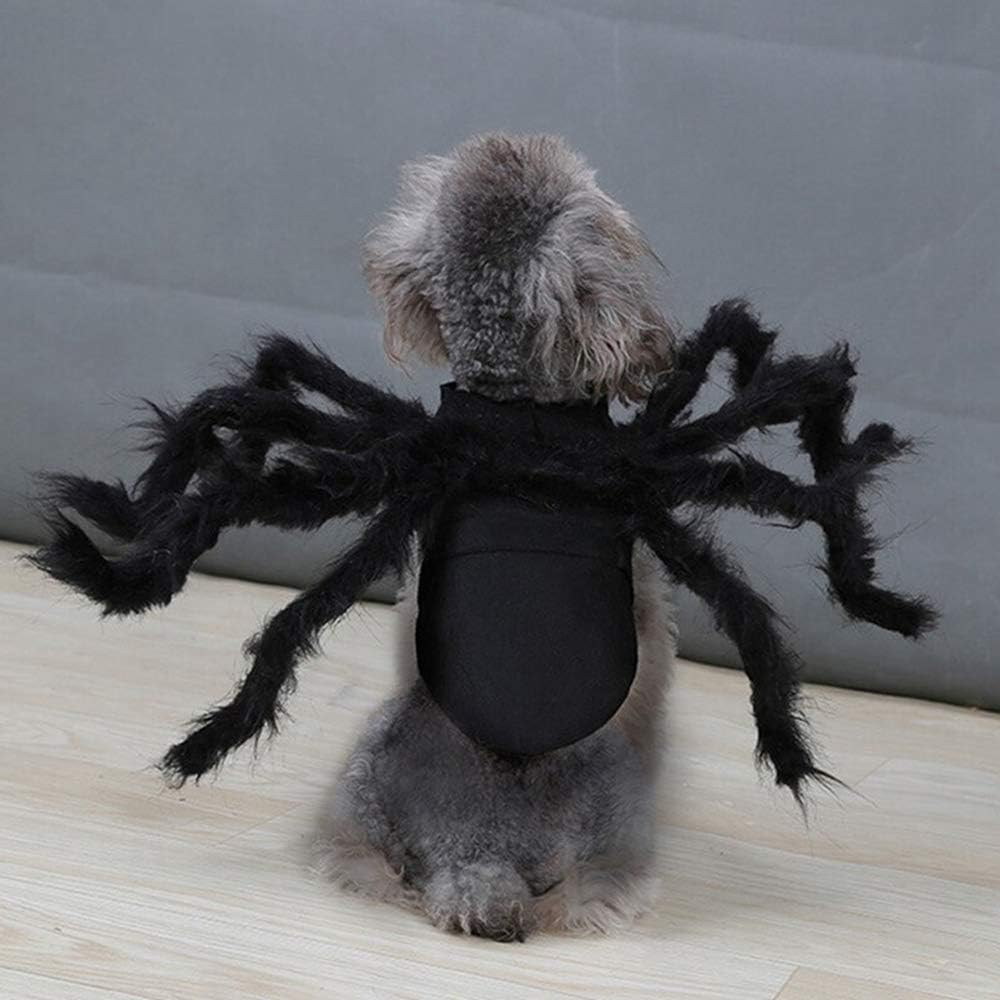 Adorable Spider Costume for Small Dogs and Cats - Perfect for Halloween Fun and Dress-Up!