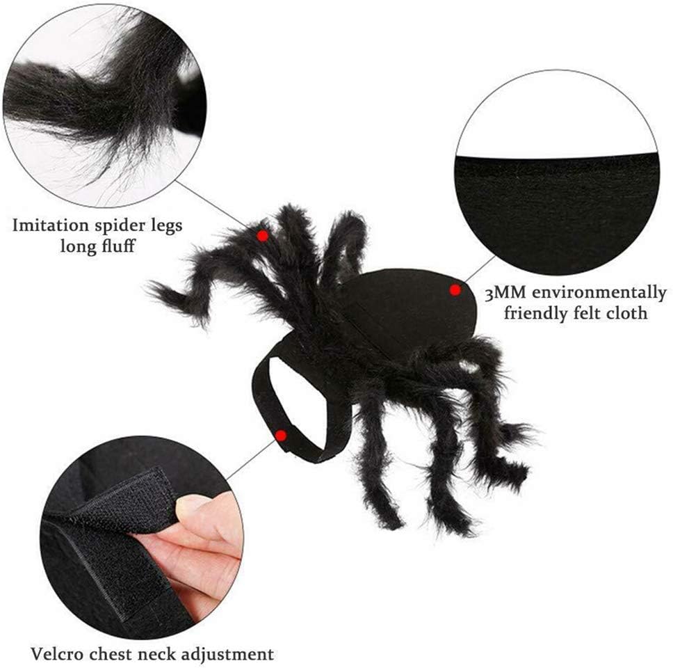 Adorable Spider Costume for Small Dogs and Cats - Perfect for Halloween Fun and Dress-Up!