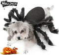 Adorable Spider Costume for Small Dogs and Cats - Perfect for Halloween Fun and Dress-Up!