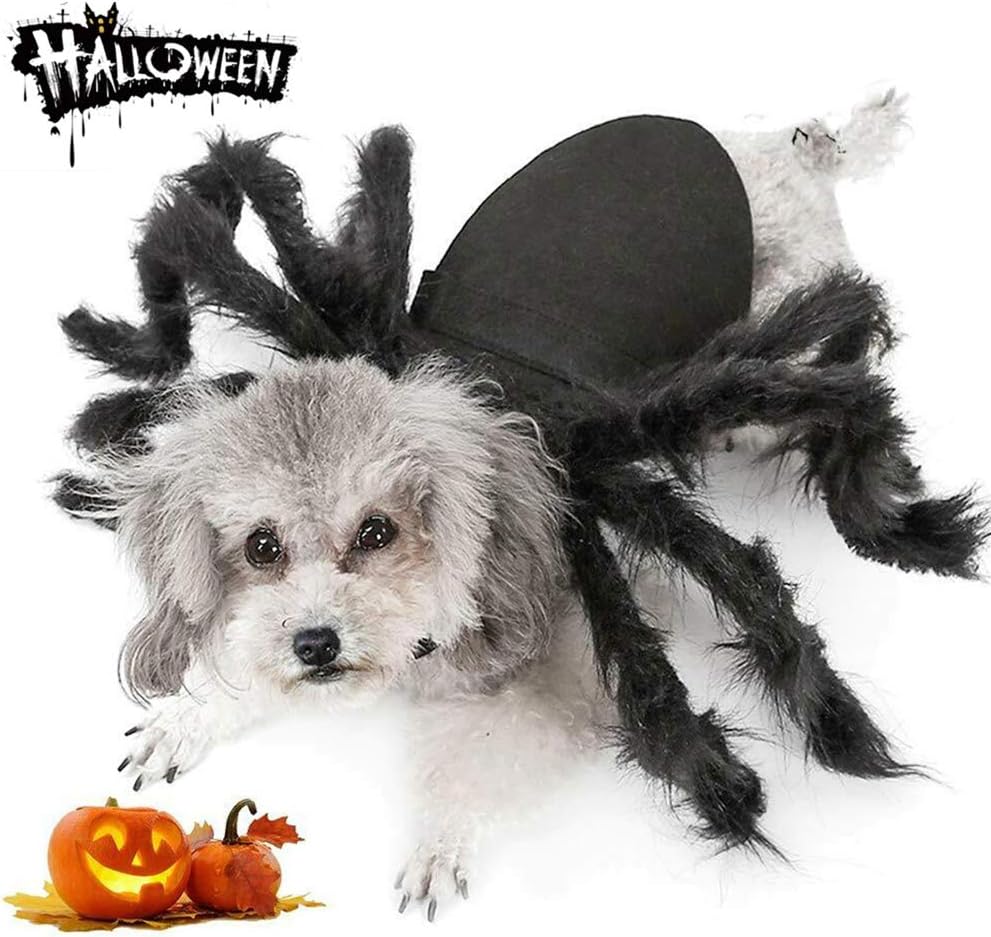 Adorable Spider Costume for Small Dogs and Cats - Perfect for Halloween Fun and Dress-Up!