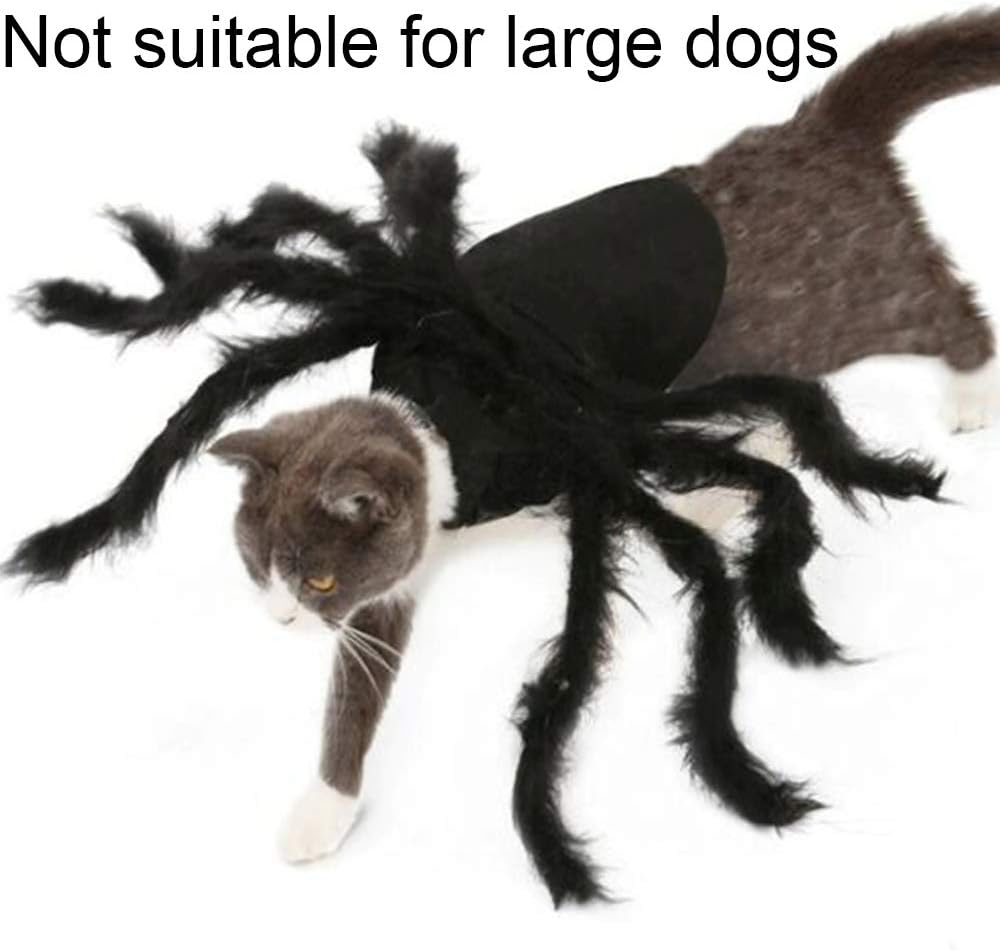 Adorable Spider Costume for Small Dogs and Cats - Perfect for Halloween Fun and Dress-Up!