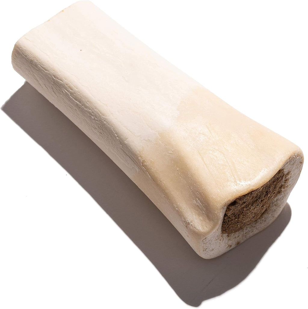 5–6" Large Filled Dog Bones (3 Pack) – Stuffed Shin Bones for Large Dogs, Long-Lasting Bone, High-Protein Dog Chews - Bully Stick Flavor